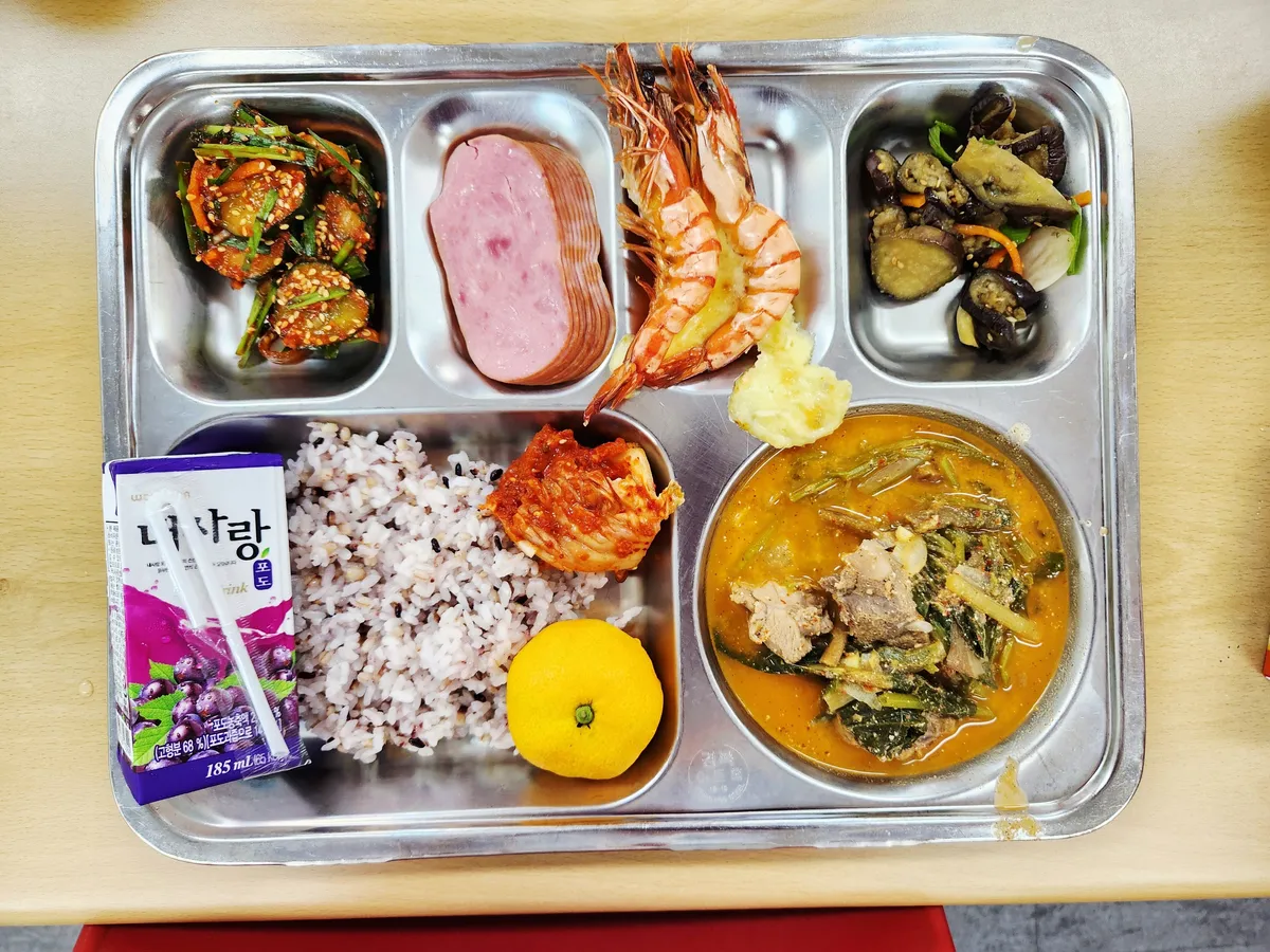 Our school lunch